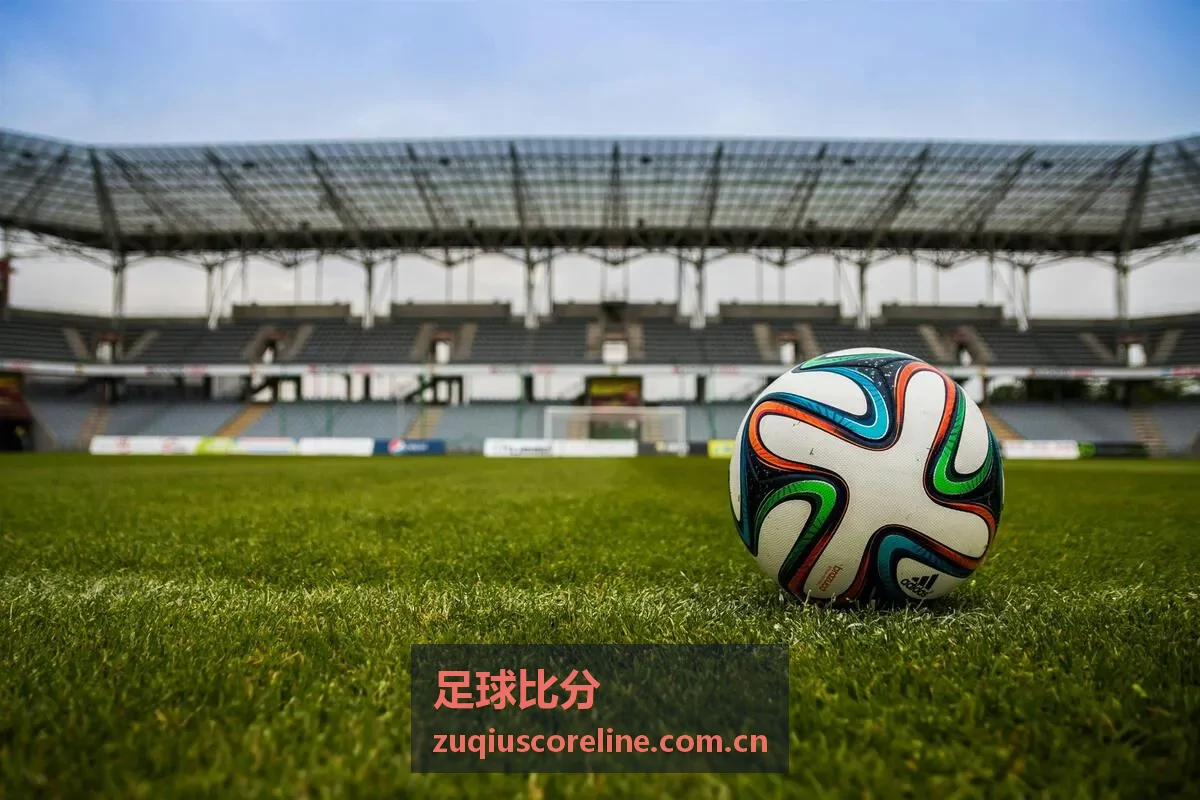 足球比分平台数据服务品牌介绍配图
